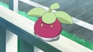 Bounsweet as appeared in the anime (Image via The Pokemon Company)